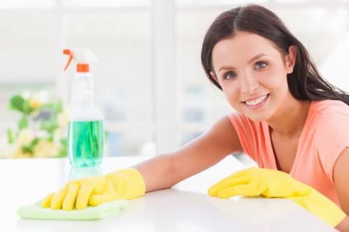 Professional cleaners in TW13 working in a tidy living room