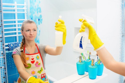 Dust removal during after builders cleaning in TW13