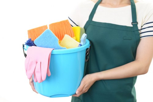 Local carpet cleaning service addressing stains and traffic marks