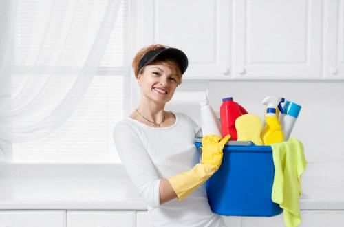 Vacuuming and floor care in a TW13 rental property
