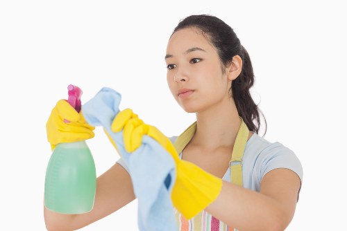 Regular house cleaning in TW13 for busy households