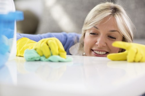 Accessibility request section for Carpet Cleaners Tw13 service information