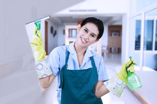 Eco-friendly carpet cleaning in TW13 for homes and businesses